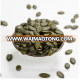 pumpkin seed kernels GWS