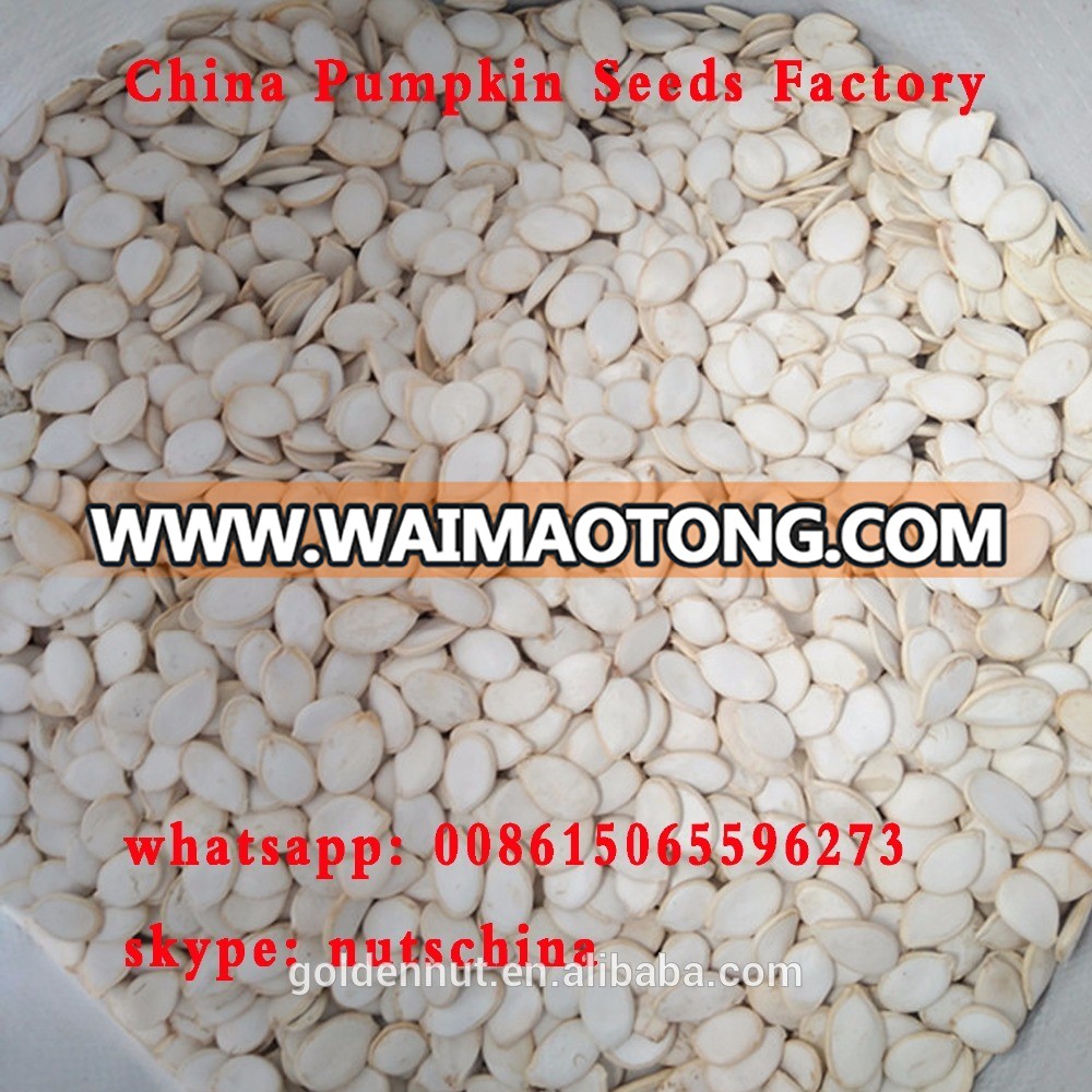 SNOW WHITE PUMPKIN SEEDS 8-9CM 11 CM UP 13 CM UP 14 cm up 15 cm up