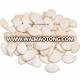 Wholesale market price pumpkin seeds for edible