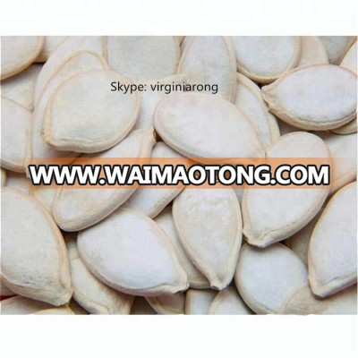 Wholesale organic pumpkin seeds lady nail pumpkin seeds